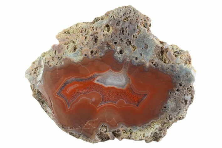 Polished Banded Agate Nodule Half - Bou Hamza, Morocco #373301